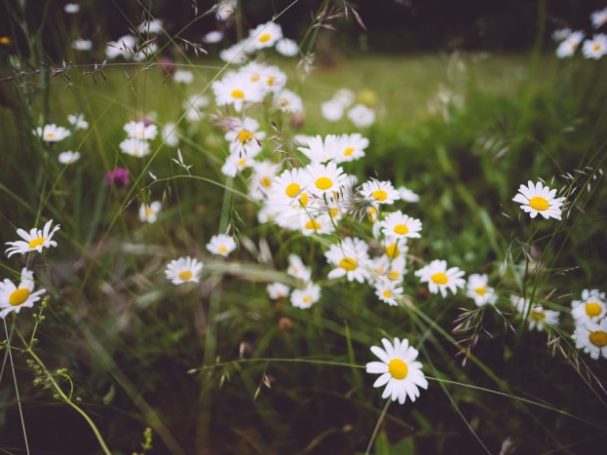 Counselling in Arcath